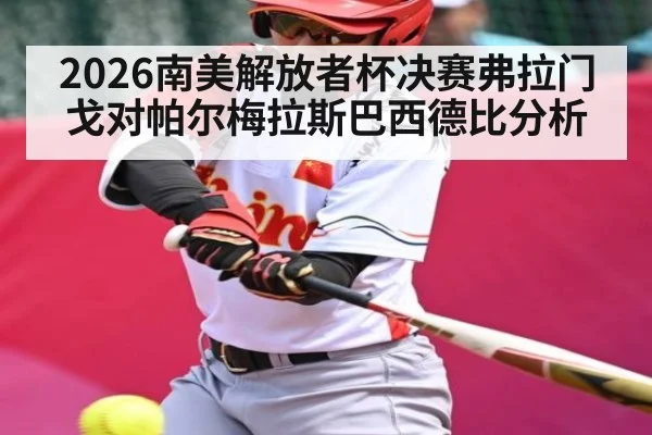 2026南美解放者杯决赛弗拉门戈对帕尔梅拉斯巴西德比分析